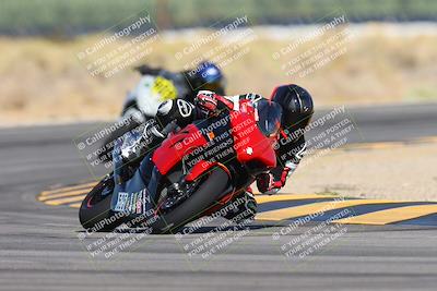 media/Oct-05-2024-Race Pace (Sat) [[aa7b44e117]]/7-Turn 16 (945am/